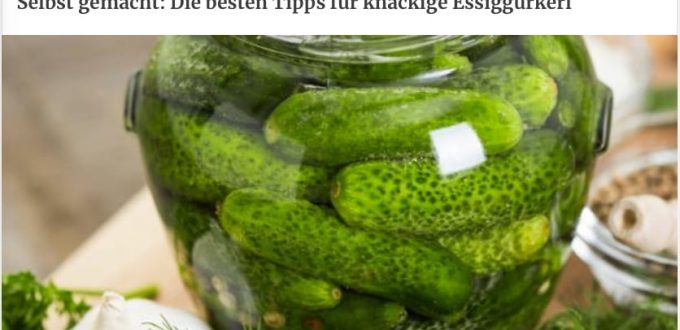 Kurier Artikel über Essiggurkerl