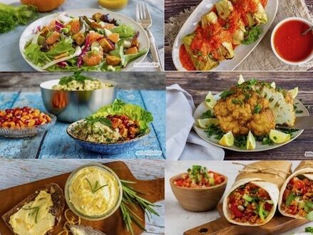 Rezeptbilder aus Tofu, Miso und Tempeh